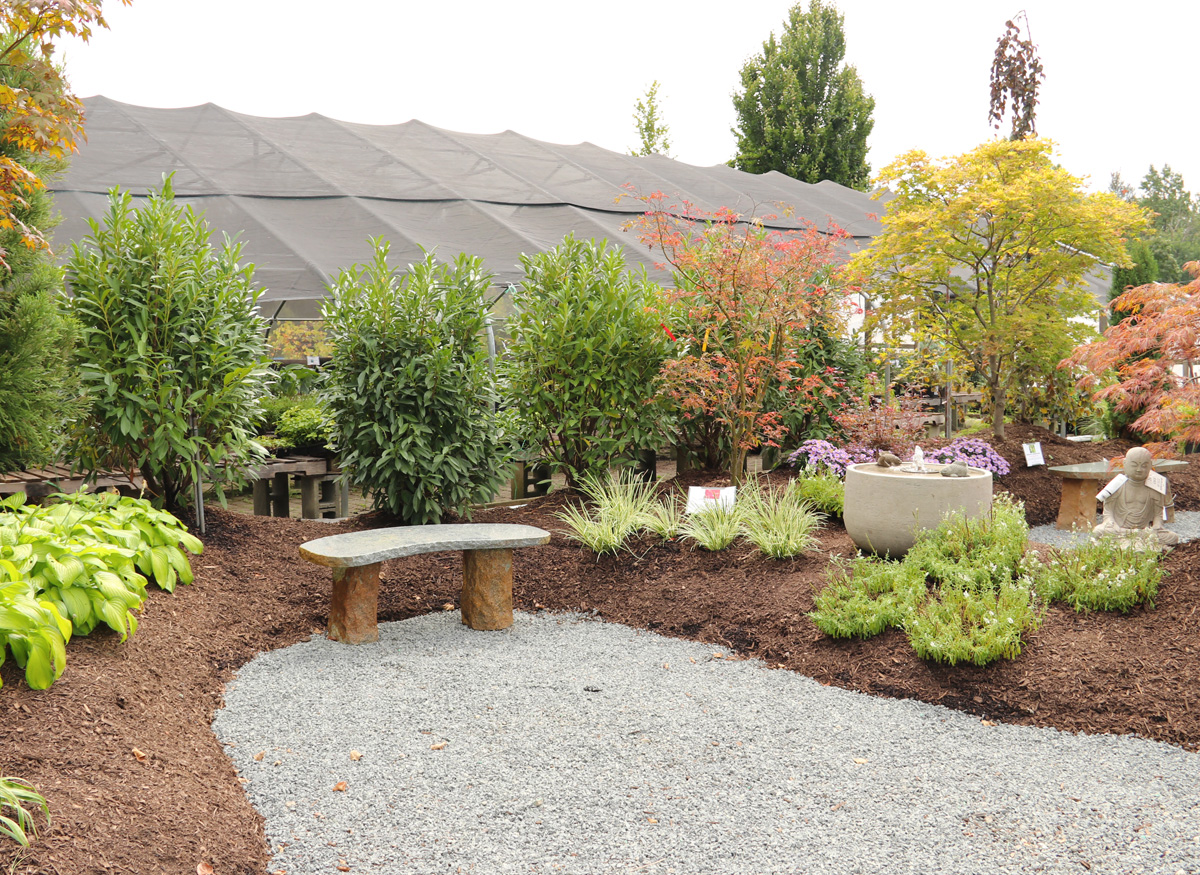 Stone bench, trees and shrubs