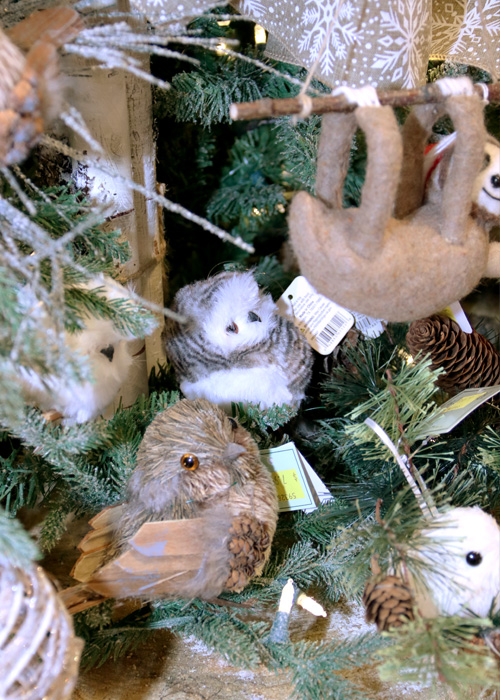 Cute and Cuddly Animals