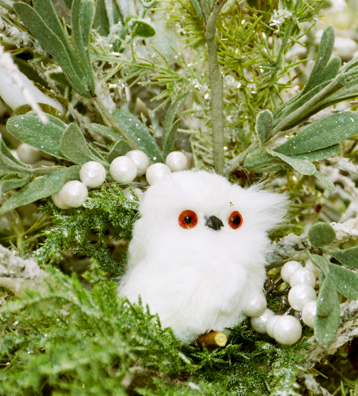 Cute Owl Collectible