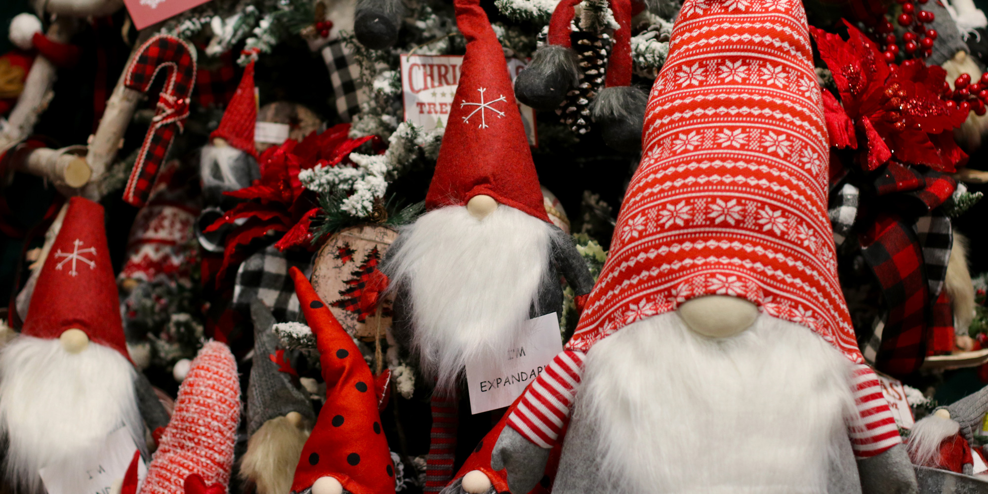 The Gnomes are here!