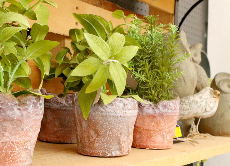 Rustic planters with faux plants Down to Earth Living