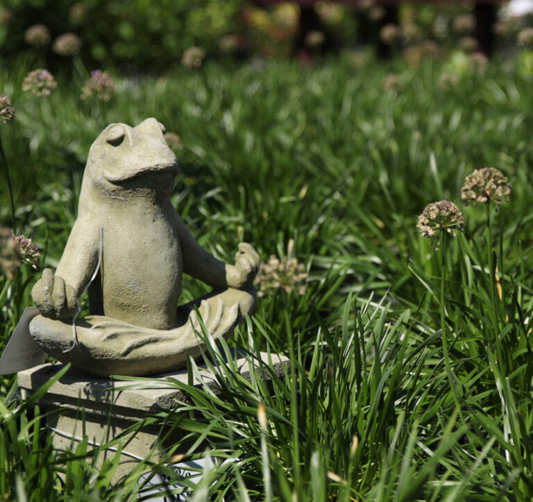 Meditating Frog Statue from our Garden Center