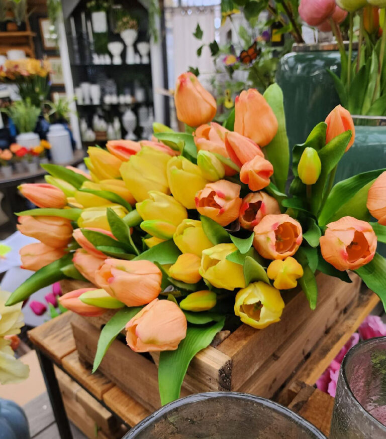 Lovely Peach and Yellow Forever Floral Tulips