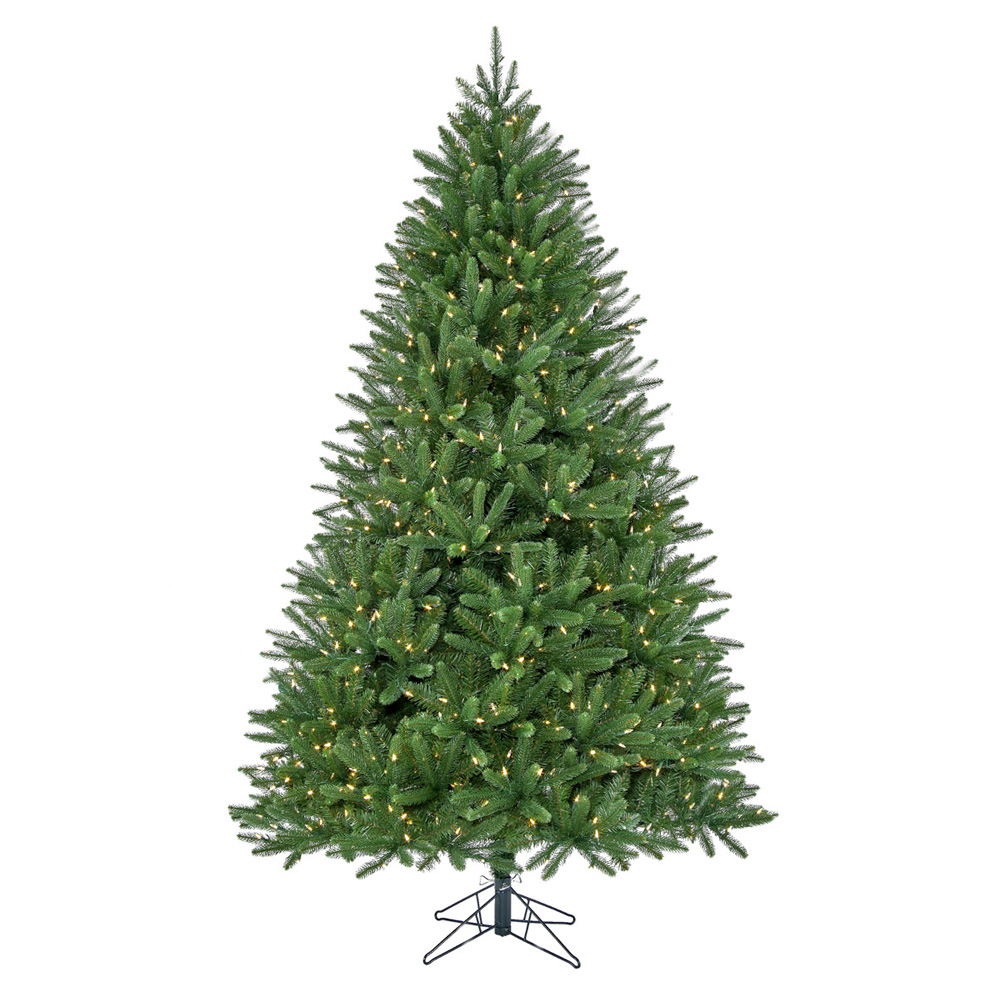 7.5' Royal Fir Clear Down to Earth Living Garden Center, Plant