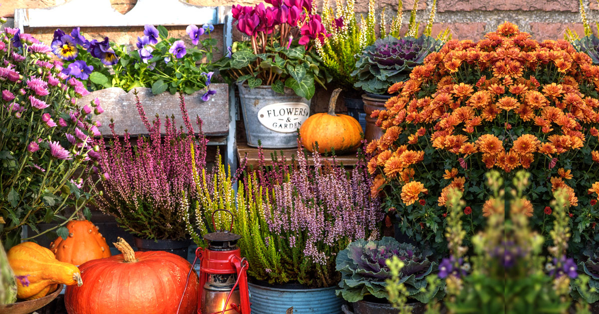 Fall Planting