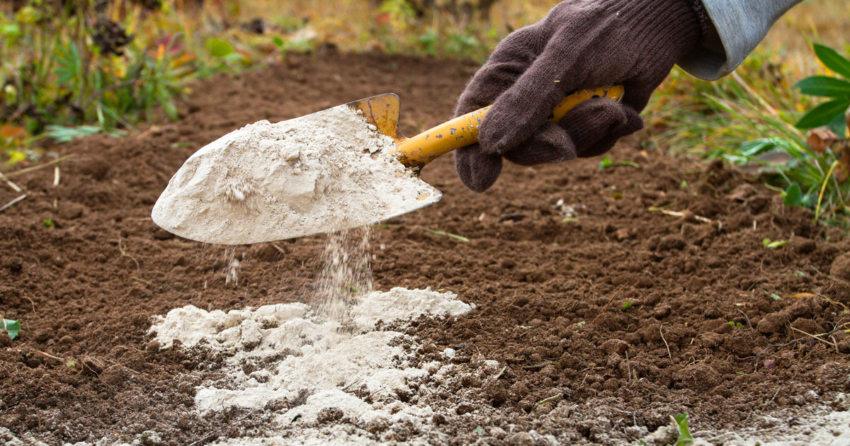 Adding Lime to Your Soil
