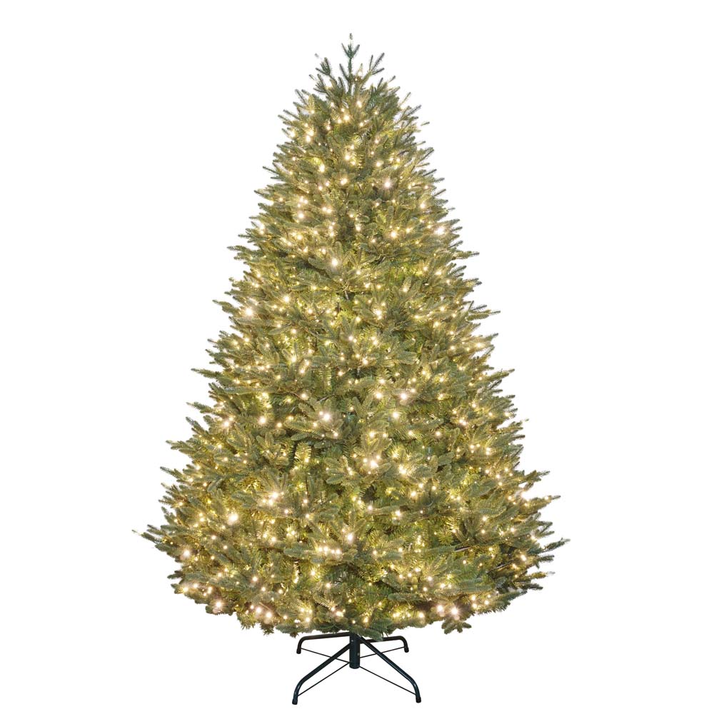 7.5' Pomona Fir – DTE Exclusive! – Down to Earth Living - Garden